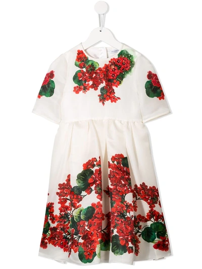 Dolce & Gabbana Kids' Embroidered Floral Dress In White