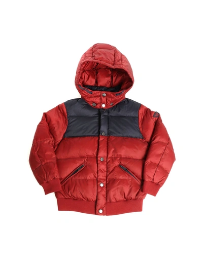 Emporio Armani Kids' Burgundy And Blue Quilted Dow Jacket In Red