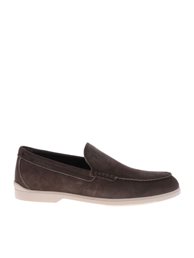 Tod's Loafers In Dark Brown Suede