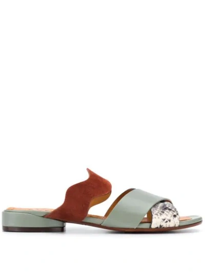 Chie Mihara Vela Slides In Grey Leather In Brown