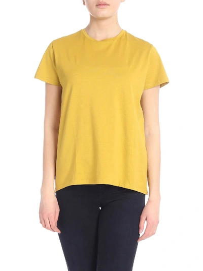 Aspesi Crew-neck T-shirt In Mustard-yellow