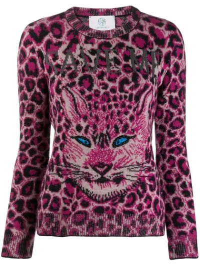 Alberta Ferretti Cheetah Print Sweater In Animal Print