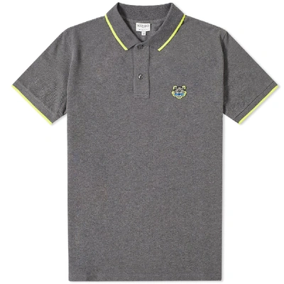 Kenzo Tiger Crest Polo In Gray In Grey