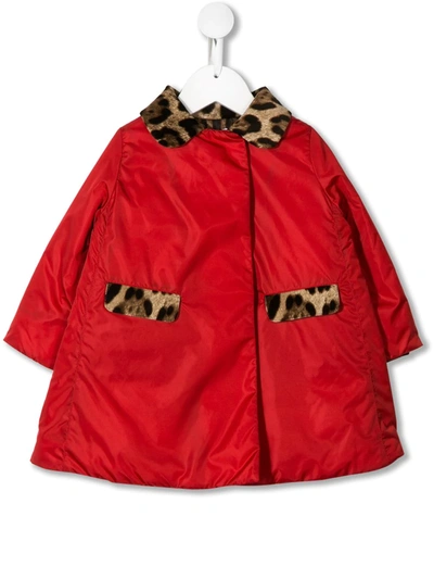 Dolce & Gabbana Babies' Leopard Details Jacket In Red