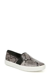 Vince Women's Blair Slip-on Sneakers In Taupe