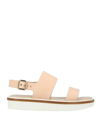 Tod's Sandals In Pale Pink