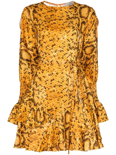 Preen By Thornton Bregazzi Lupita Flared Snake Print Dress In Orange