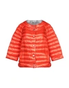 Herno Down Jacket In Orange