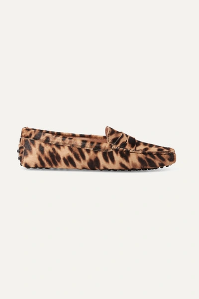 Tod's Gommino Leopard-print Calf Hair Loafers In Animal Print