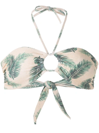 Track & Field Foliage Print Bikini Top In Neutrals