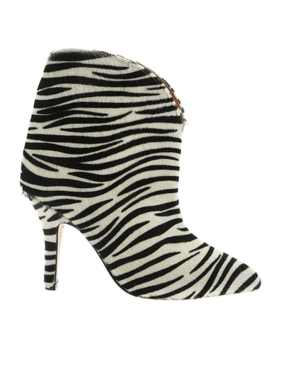 Paris Texas Zebra Pattern Ankle Boots In White And Black In Animal Print