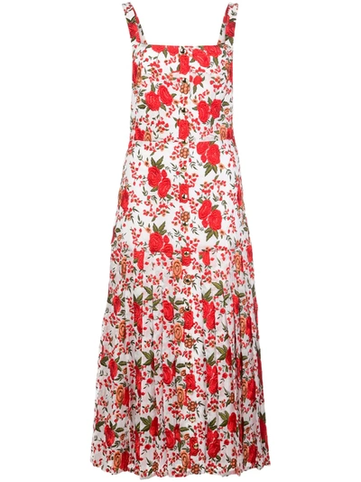 Alexis Amal Pleated Rose-print Sleeveless Dress In Red