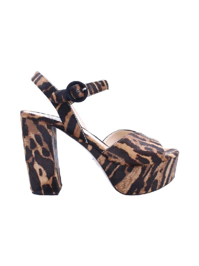 Prada Leather Sandals In Animalier