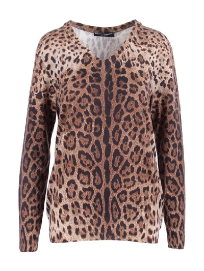 Dolce & Gabbana Cashmere Sweaters In Leo Print