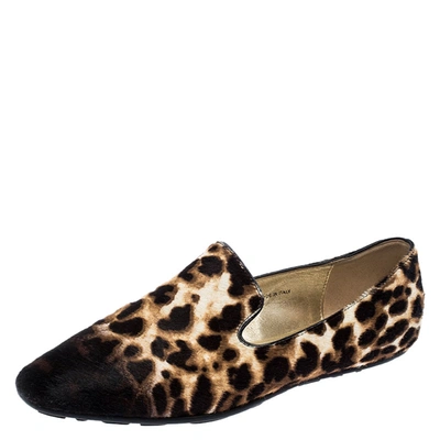 Pre-owned Jimmy Choo Brown Ombre Leopard Print Calfhair Wheel Smoking Slippers Size 36