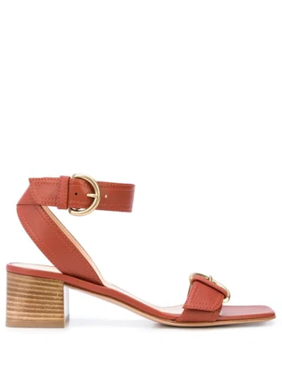 Gianvito Rossi Buckle Ankle Strap Block Heel Sandal In Red