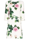 Dolce & Gabbana Cady Fabric Mini Dress In Tropical Rose Print In White
