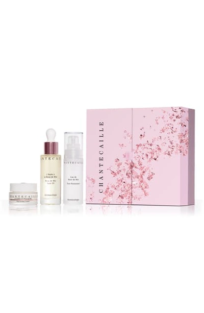 Chantecaille Radiance Brightening Essentials: Rose Collection