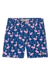 Tom & Teddy Boys' Flamingo Swim Trunks - Little Kid, Big Kid In Blue