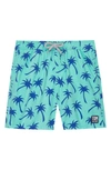 Tom & Teddy Boys' Palm Tree Swim Trunks - Little Kid, Big Kid In Emerald/ Blue