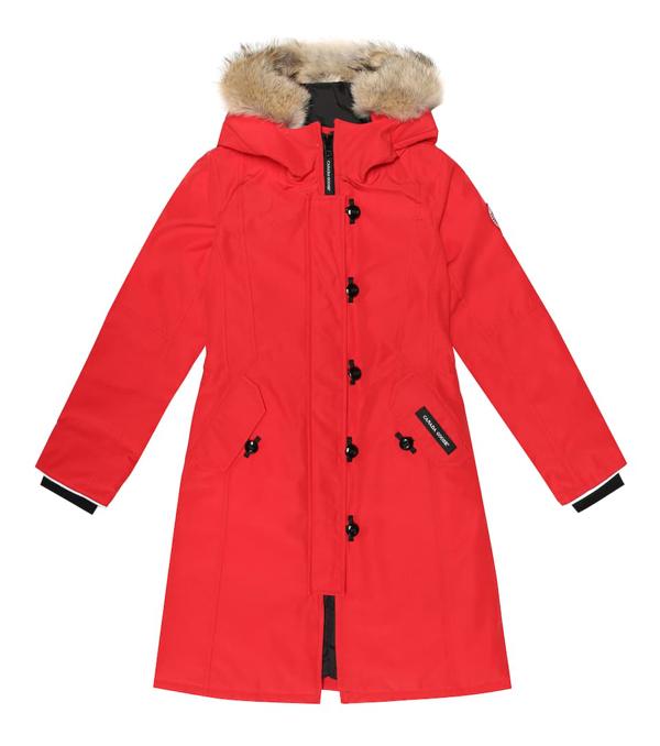 juniper canada goose