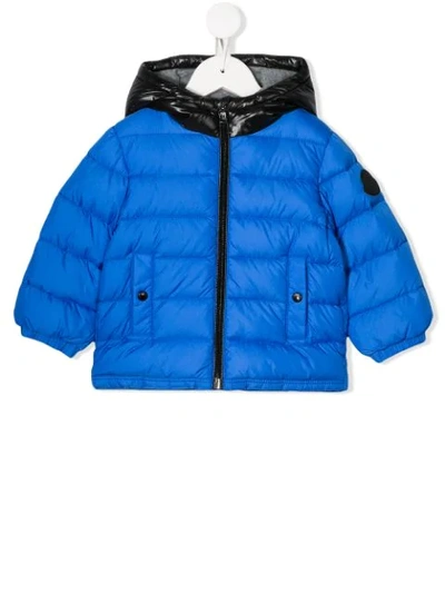 Moncler Babies' Down Jacket With Hood In Blu