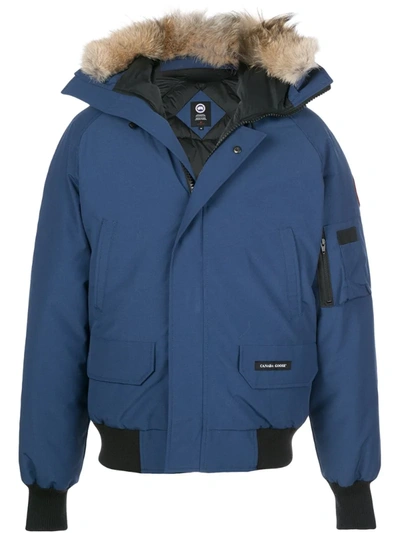Canada Goose Chilliwack Hooded Bomber Jacket In Blue