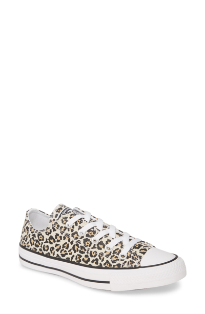 Converse Chuck Taylor All Star Leopard-print Canvas Low-top Sneakers In  Black/driftwood/light Faw | ModeSens