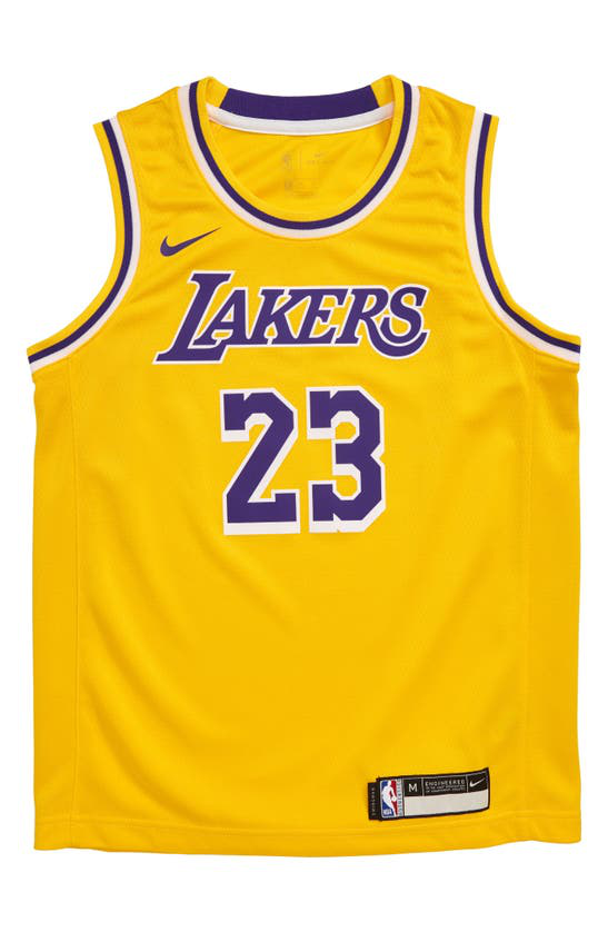 Nike Kids' Lebron James Los Angeles Lakers Icon Replica Jersey ... Nike Kids' Lebron James Los Angeles Lakers Icon Replica Jersey ...