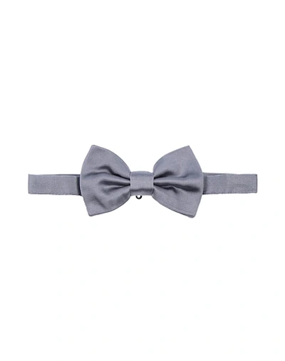 Dolce & Gabbana Kids' Ties And Bow Ties In Light Grey