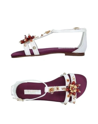 Dolce & Gabbana Babies' Sandals In White