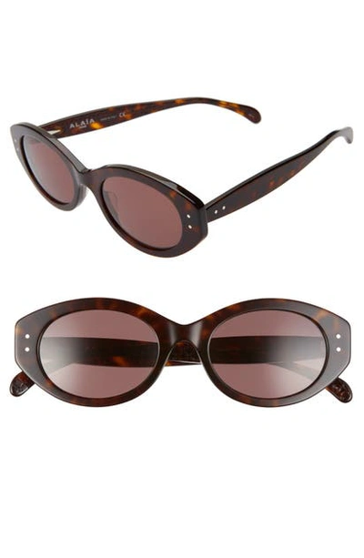 Alaïa 52mm Cat Eye Sunglasses In Dark Havana/ Brown