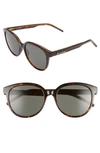 Saint Laurent Women's Square Sunglasses, 55mm In Shiny Dark Havana/ Grey