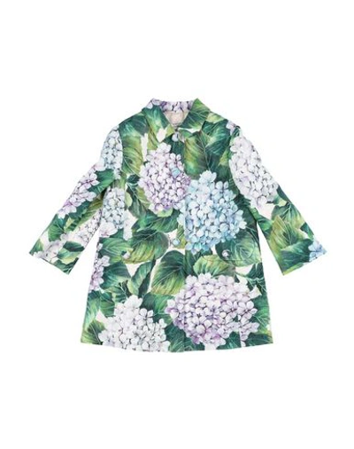 Dolce & Gabbana Babies' Full-length Jacket In Green
