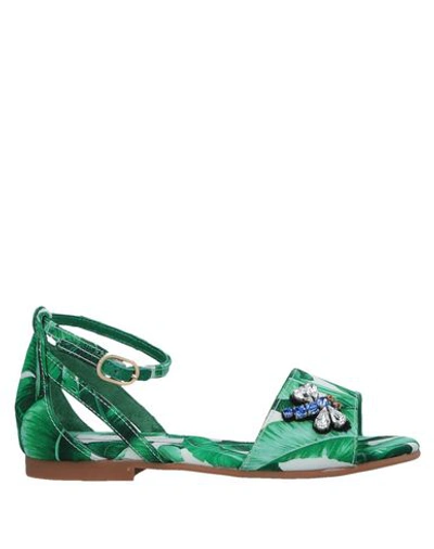 Dolce & Gabbana Kids' Sandals In Green