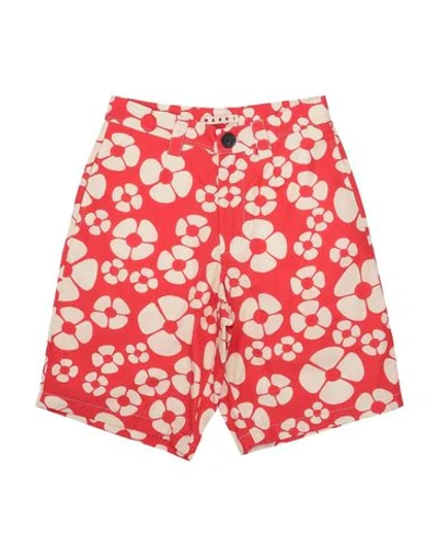 Marni Kids' Shorts & Bermuda Shorts In Red
