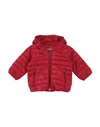 Add Babies' Down Jackets In Red