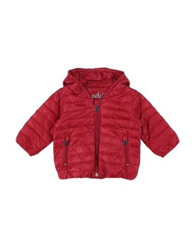 Add Babies' Down Jackets In Red