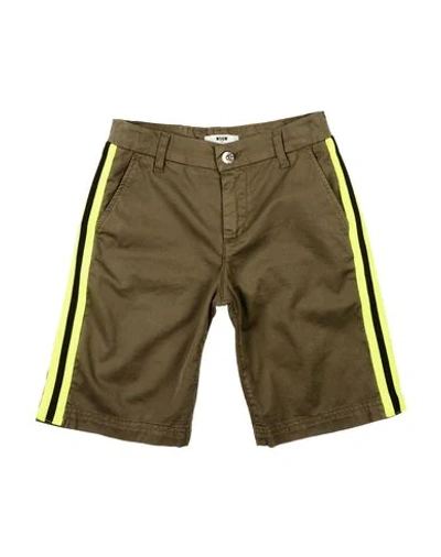 Msgm Kids' Shorts & Bermuda Shorts In Military Green