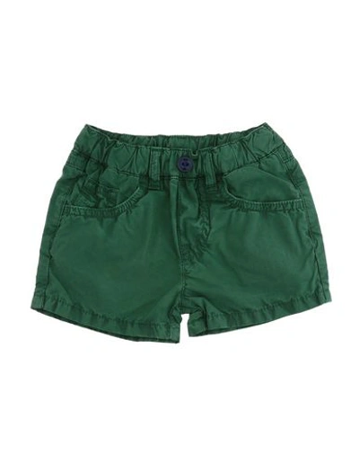 North Sails Babies'  Newborn Boy Shorts & Bermuda Shorts Green Size 3 Cotton