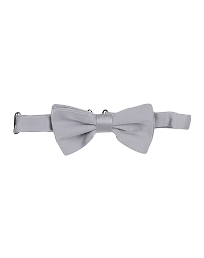 Dolce & Gabbana Babies' Ties & Bow Ties In Grey