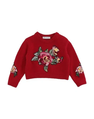 Dolce & Gabbana Babies' Sweaters In Red