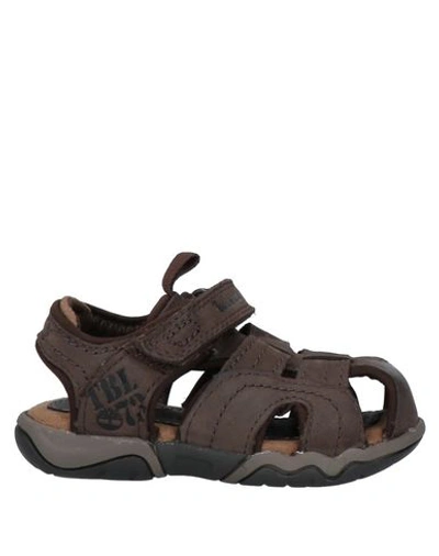 Timberland Babies' Sandals In Dark Brown
