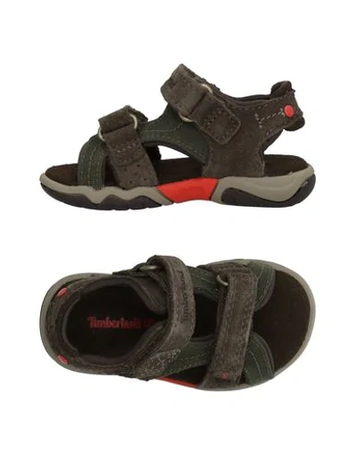 Timberland Babies' Sandals In Military Green