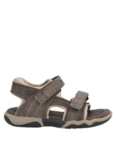 Timberland Babies' Sandals In Dove Grey