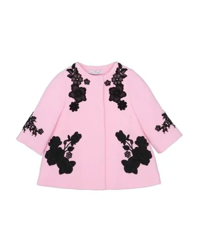 Dolce & Gabbana Babies' Coat In Pink