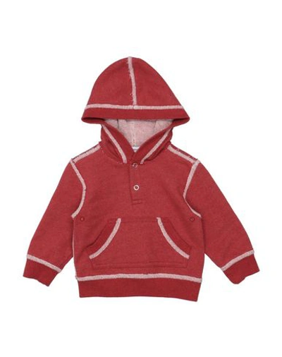Dolce & Gabbana Babies' Hooded Sweatshirt In Brick Red