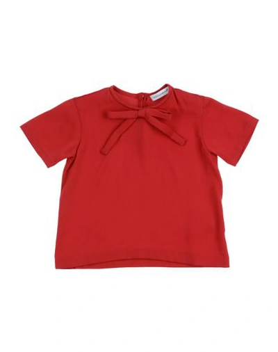 Dolce & Gabbana Babies' Blouses In Maroon