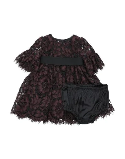 Dolce & Gabbana Babies' Dress In Dark Brown