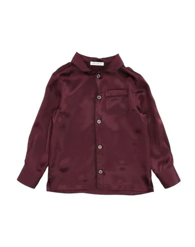 Dolce & Gabbana Babies' Shirts In Maroon